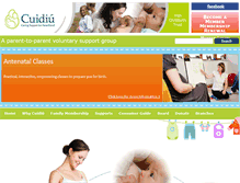 Tablet Screenshot of cuidiu-ict.ie